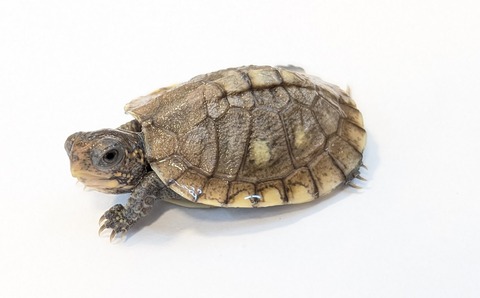 PXL_20251103_101310205~2