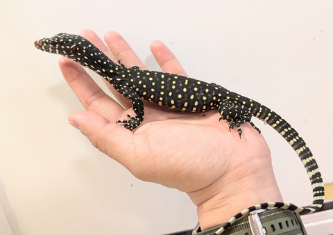 PXL_20250202_105511286~2