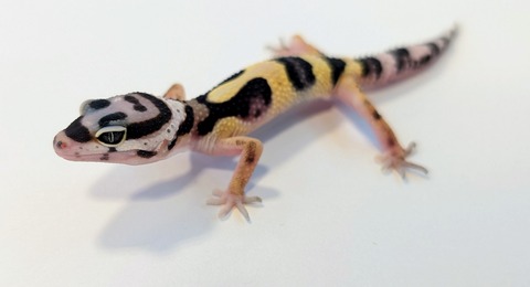 PXL_20250919_120402604~2