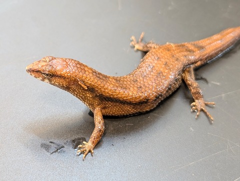 PXL_20241228_094356616~2