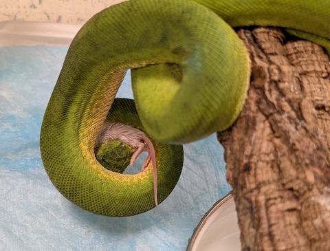 PXL_20250522_114133088~2