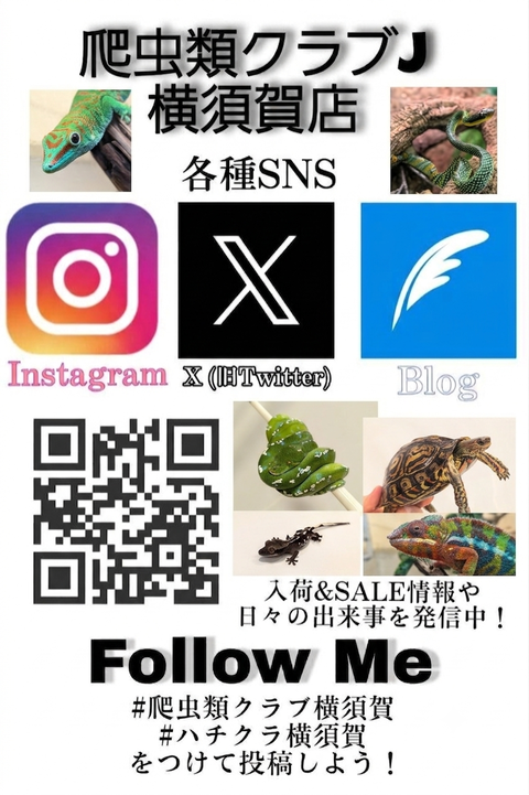 1787847204217
