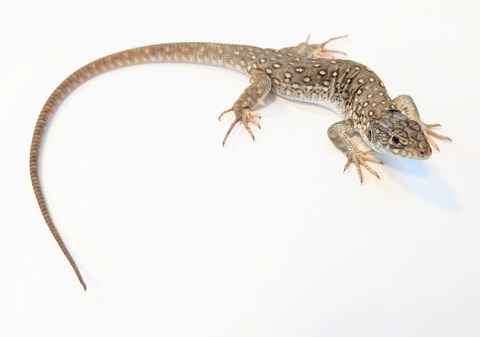 PXL_20250906_100413649~2