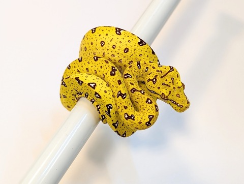 PXL_20250424_093146889~2