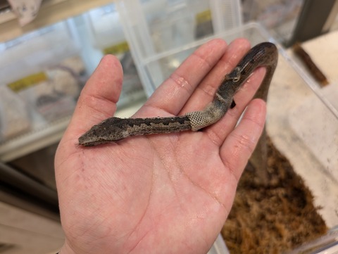 PXL_20250104_064152084