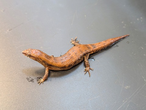 PXL_20241228_094358450~2