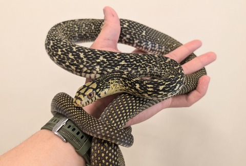 PXL_20251027_054133524~2