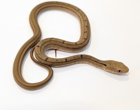 PXL_20251027_104633023~2