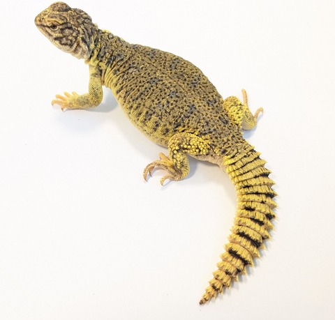 PXL_20250715_094756344~2