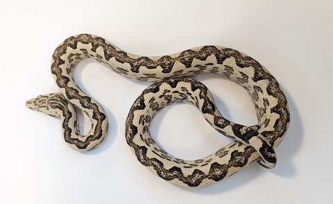 PXL_20251004_090833729~2