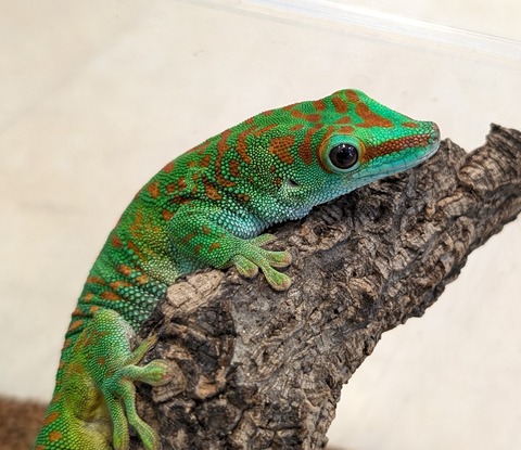 PXL_20260102_092825619~2