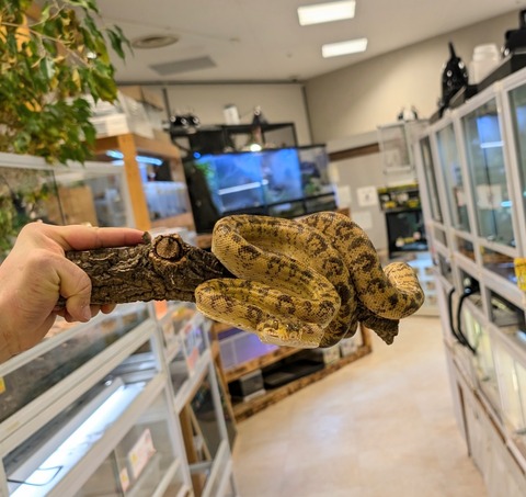 PXL_20241224_111814439~2