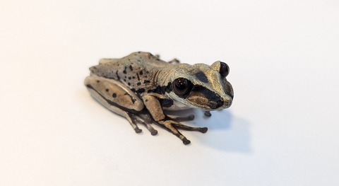 PXL_20250919_121327799~2