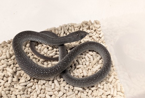 PXL_20251118_094619794