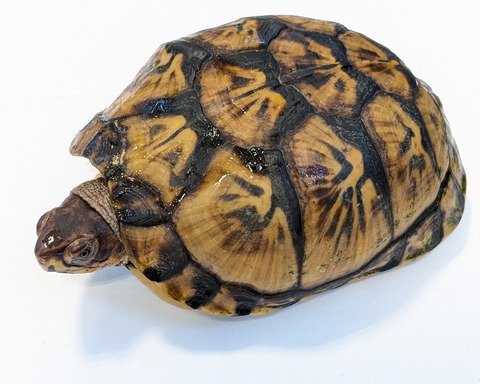 PXL_20250622_115602169~2