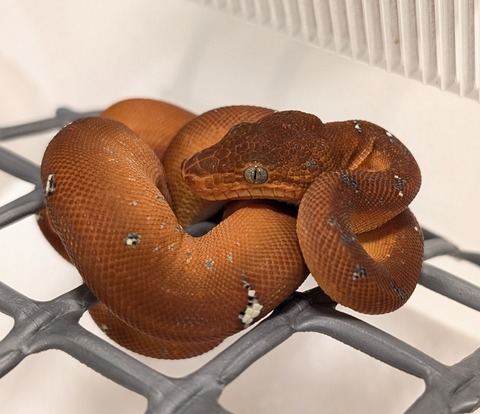 PXL_20251204_123716312~2