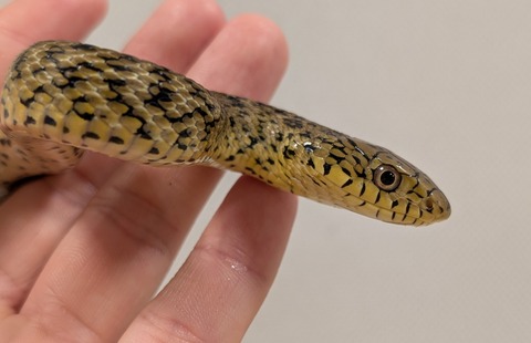 PXL_20250620_131829933~2