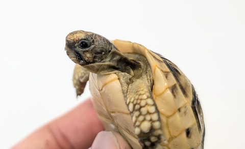 PXL_20251105_060953070~2