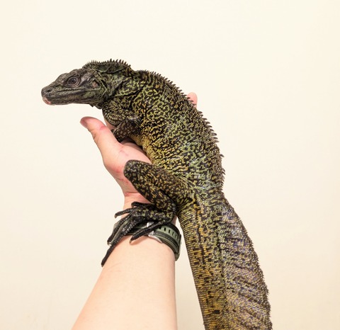 PXL_20250601_074719618~2