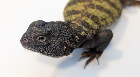 PXL_20251004_085448490~2