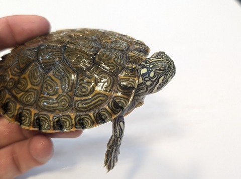 PXL_20250919_114207316~2