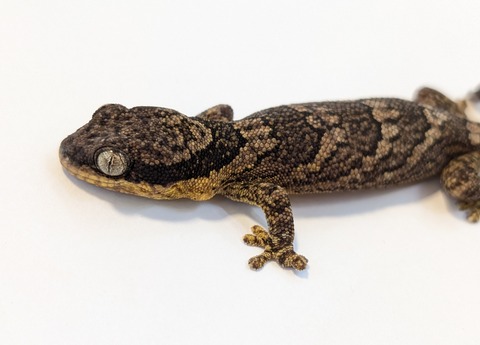 PXL_20250623_110647375~2