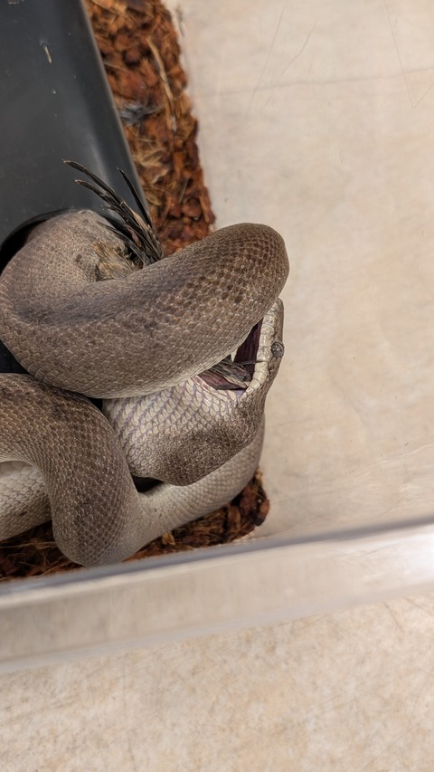 PXL_20260211_112645801