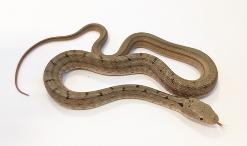 PXL_20251027_104921978~2