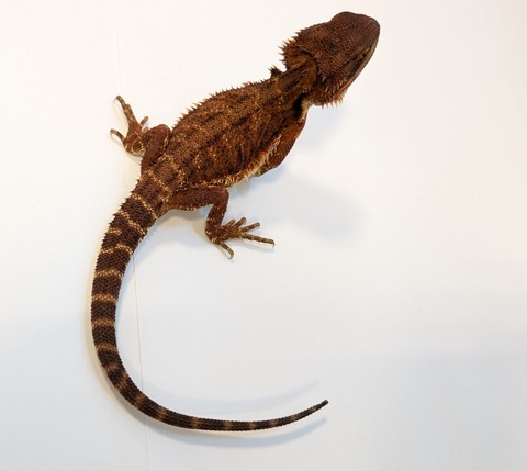 PXL_20250401_092040645~2