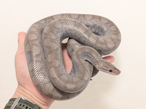 PXL_20250919_072332447~2