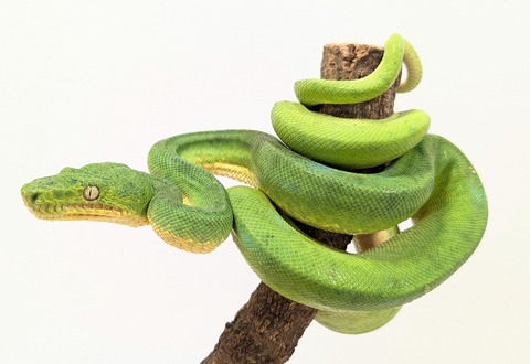 PXL_20250520_075848173~2