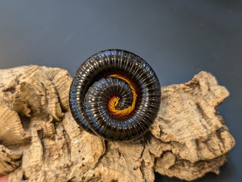 PXL_20241228_095039978