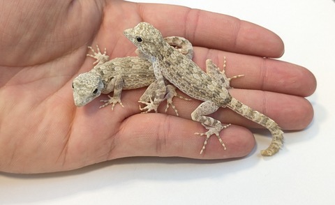 PXL_20251124_111735281~2