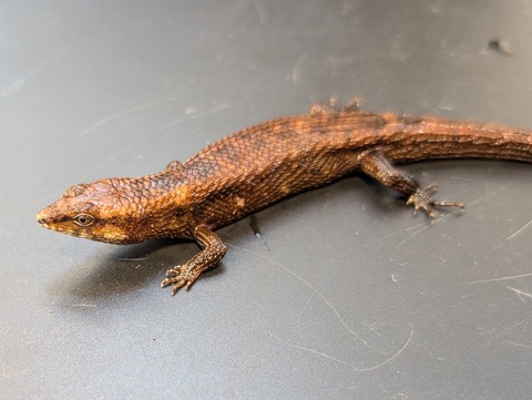 PXL_20241228_094206611~2