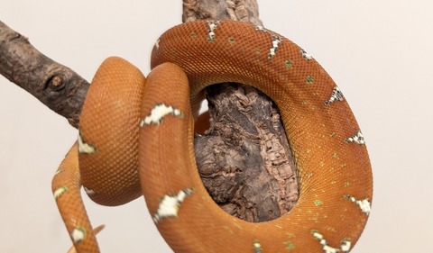 PXL_20260212_100509973