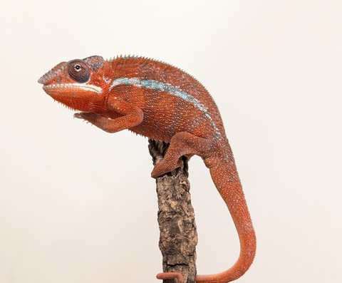 PXL_20251207_095230664~2