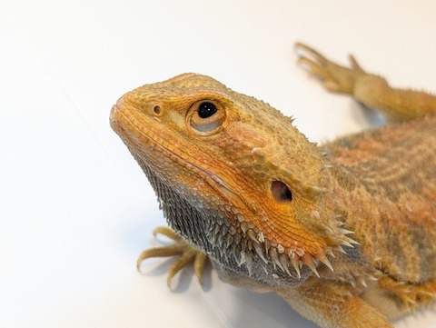 PXL_20250401_094050547~2