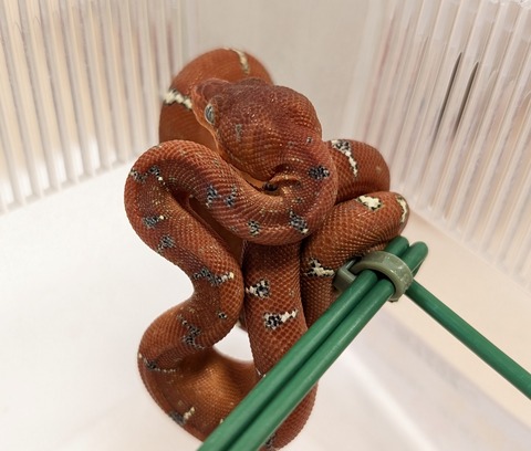 PXL_20260101_110032145~2