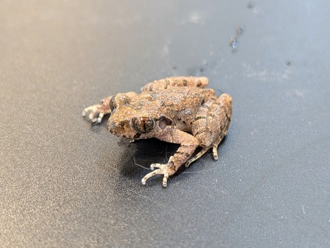 PXL_20250106_102718627~2