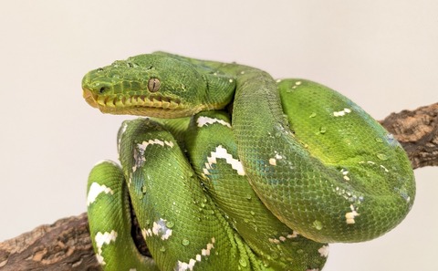 PXL_20250920_111512233~2