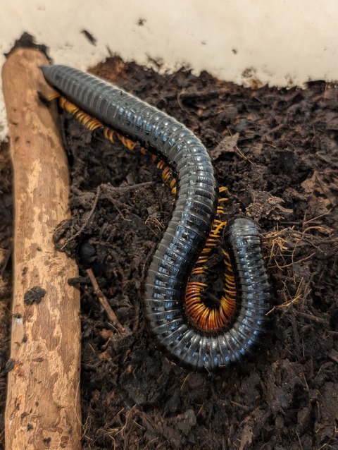 PXL_20241228_095050713