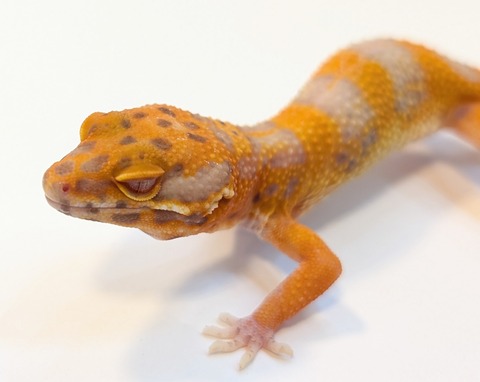 PXL_20250513_093508995~2