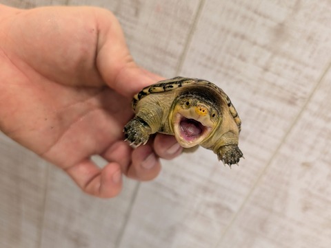 PXL_20241228_120044863~2