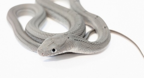 PXL_20251031_100240638~3