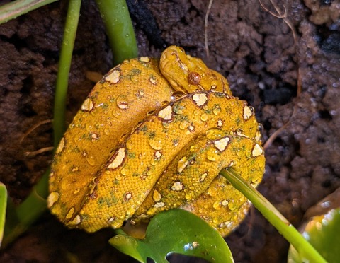 PXL_20251120_072024328~2