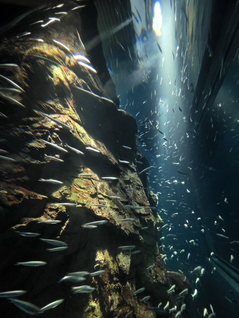 Screenshot_20250924_181649_Gallery