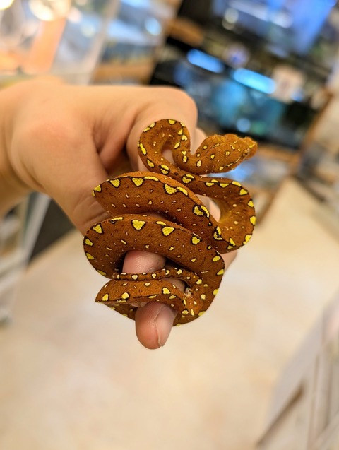 PXL_20241224_111441094~2