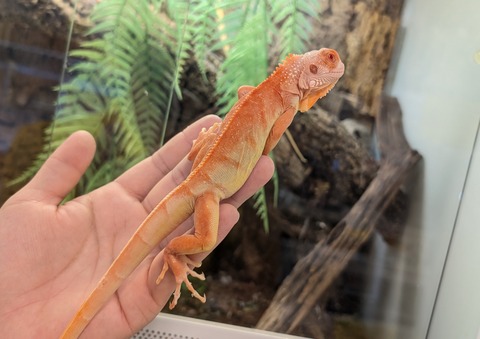 PXL_20250919_070257792~2