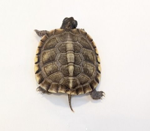 PXL_20251103_101127154~2