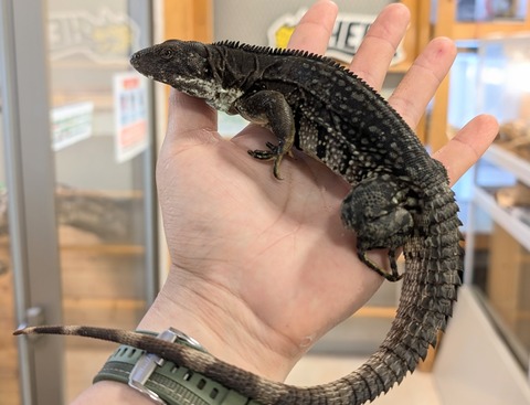 PXL_20250820_104757706~2